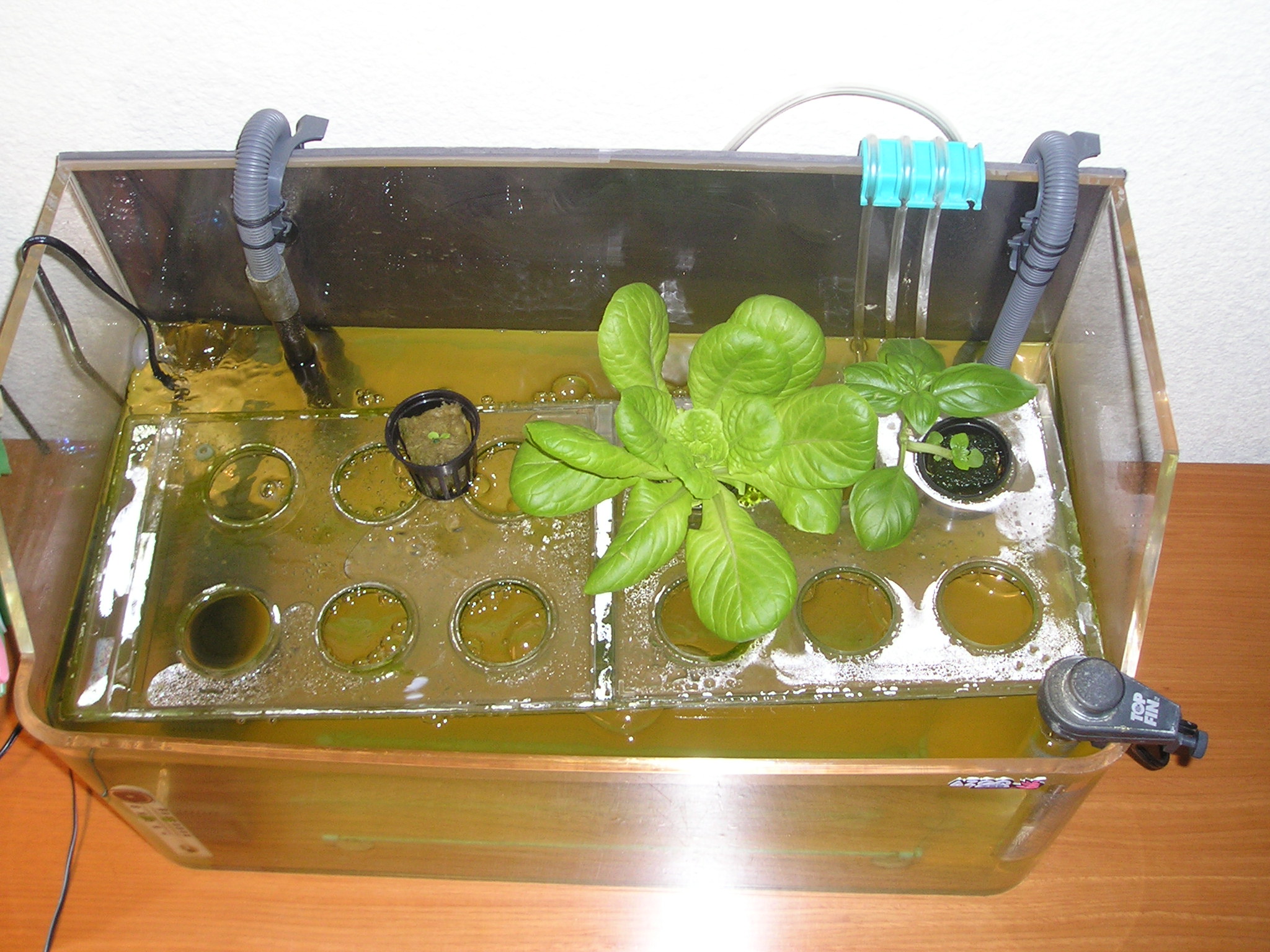 STARTING SYSTEM  Aquaponic DIY Automation Blog
